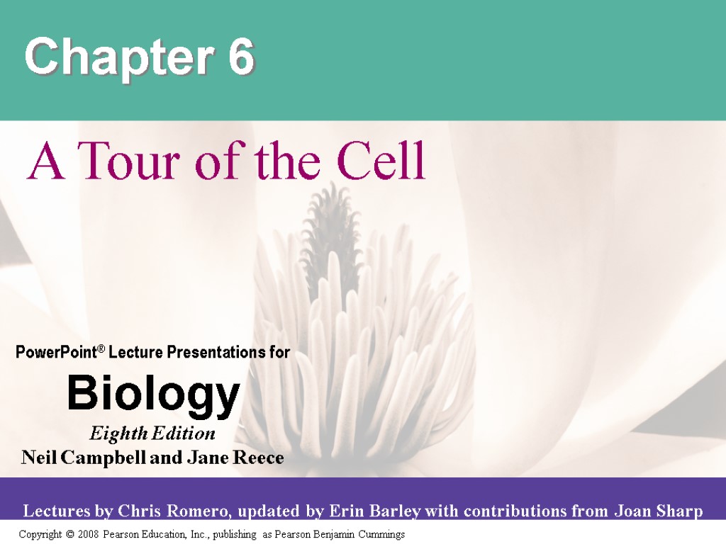 Chapter 6 A Tour of the Cell. Overview: